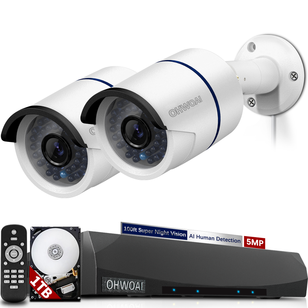 Trends in the Development of the Video Surveillance Industry in Security and Safety